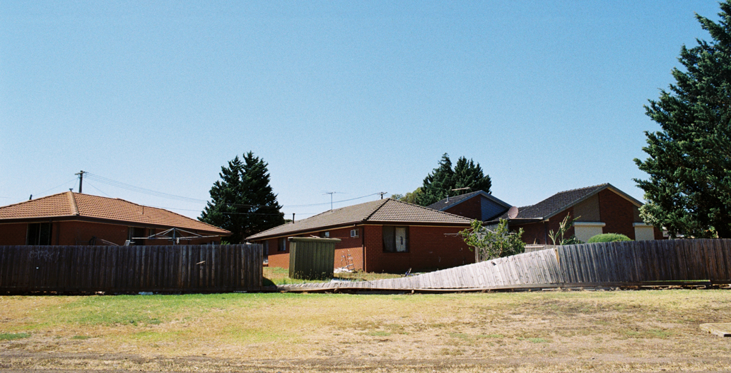 there are no state or citywide regulations requiring the planting of new trees and vegetation.