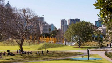 Prince Alfred Park: The art of knowing that to retain, what to revive and what to bring anew Image: Brett Boardman