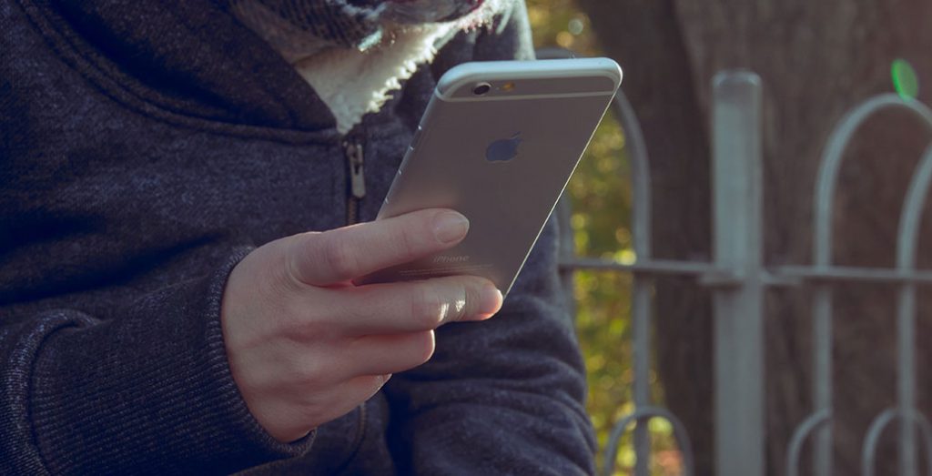 Person reading phone in park