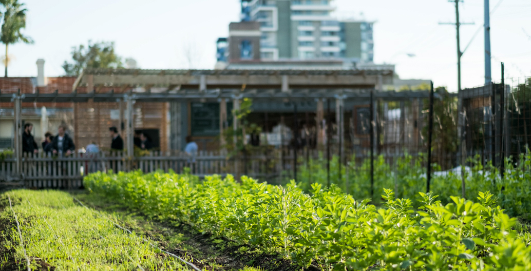 The average median price for a house in Camperdown is A$1,400,000. Image: Pocket City Farms.