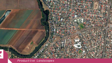 The urban-agricultural divide in Wyndham Vale, an outer-western suburb of Melbourne. Image: Google Maps.