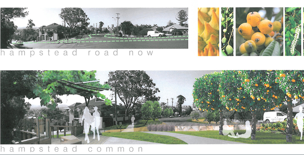 The Greenspace Strategy aims to reclaim wasted asphalt space, turning these road reserves into productive verges.