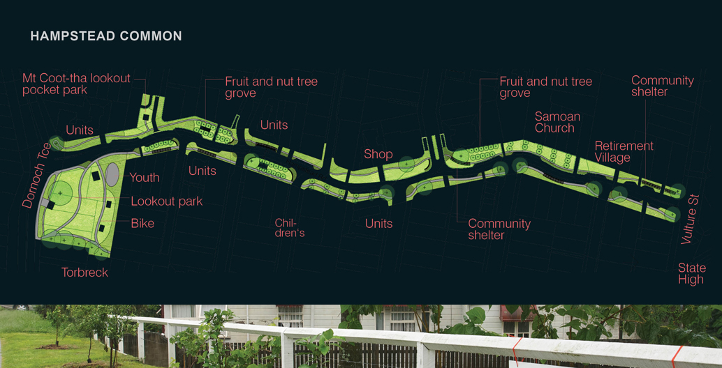 The Hampstead Common is a plan to create a hectare of north facing productive greenspaces down an overly wide road.