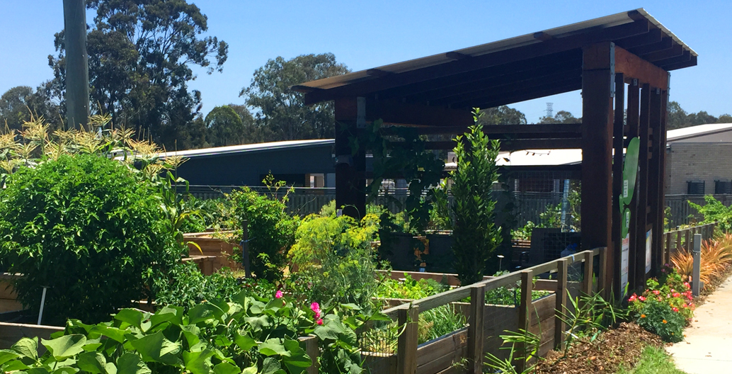 The community gardens provide shelter for gathering as well as low vine fences to keep dogs out.