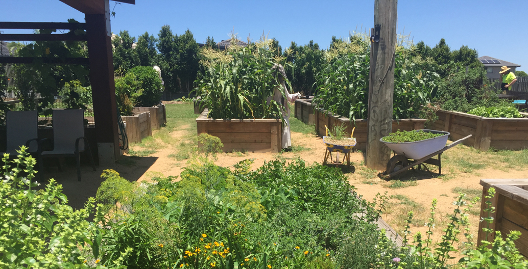 Raised and inground food gardens as well as composting areas and an equipment shed are all shared by residents.