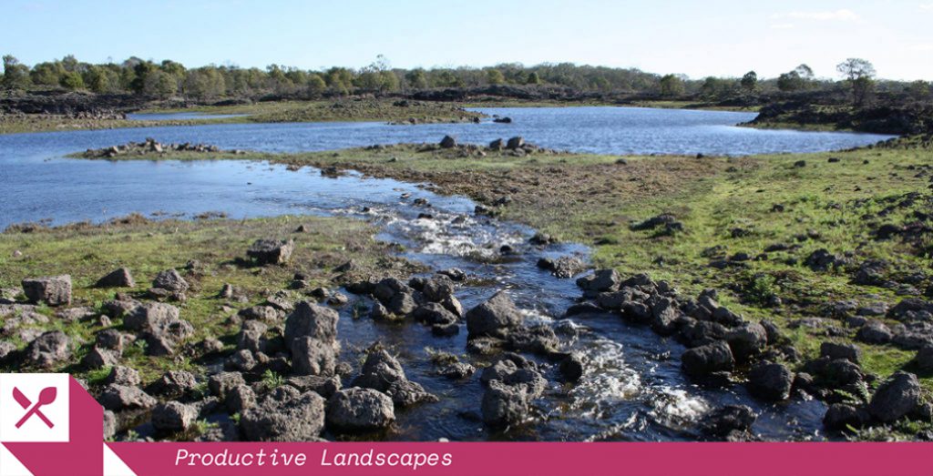 Remnants of the extensive eel traps around Lake Condah. Image: Ancient remnants of stone houses constructed around Lake Condah. Image: Gunditj Mirring Traditional Owners Aboriginal Corporation.