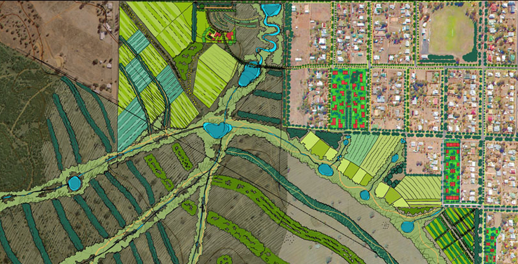 The Living Classroom creates keyline gardens and forest corridors which trap and hold rainwater.