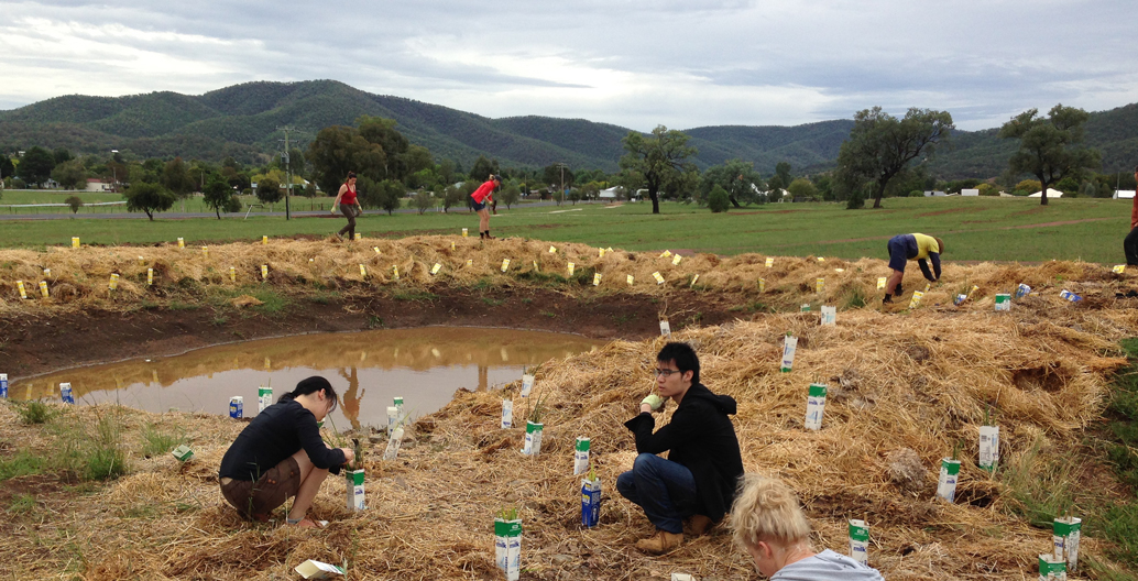 University students from QUT’s Landscape Architecture course spent a week on site.