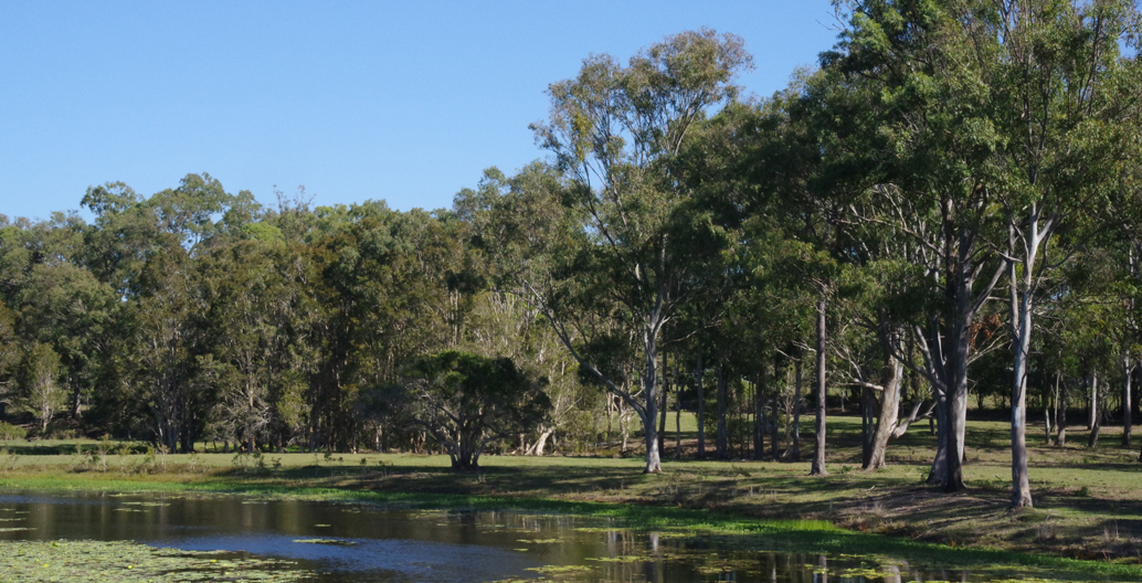 Homes will be designed to have north facing gardens which will be framed by revegetated lakes.