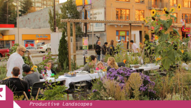 Davie St Community Garden, Vancouver.