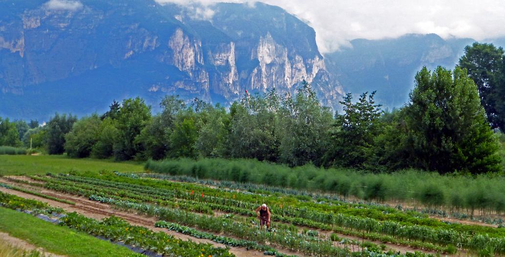 A large landscape. Image: Joshua Zeunert.