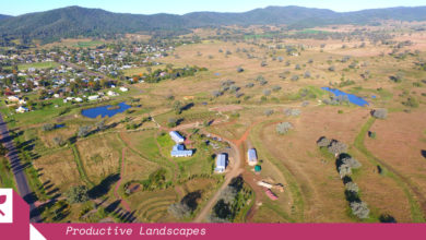 NSW's Living Classroom site wraps around the town of Bingara. The regenerative community farm repurposes a grazed common.