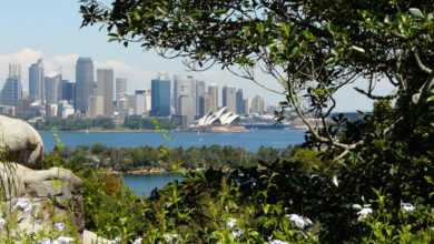 The suburbs around Sydney's harbour have been historic beneficiaries of the natural environment