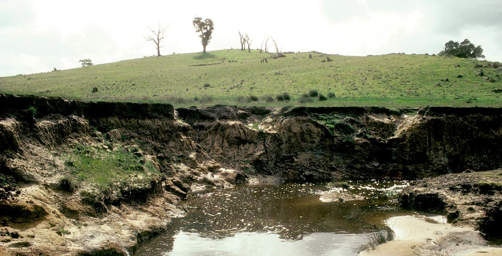 Water can damage mismanaged landscapes, in the form of either erosion or dissolved salt. Image: John Coppi / CSIRO.