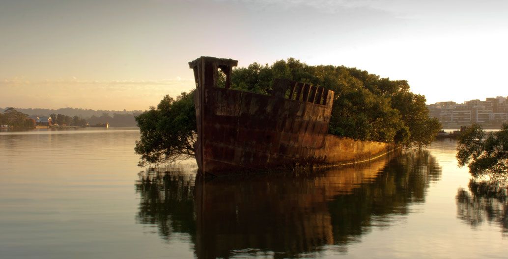 Sydney's Sydney's Homebush Bay has witnessed novel green developments, such as this unplanned shipwreck garden. Bay has witnessed novel applications of greening, with a shipwreck garden. Image: Jason Baker