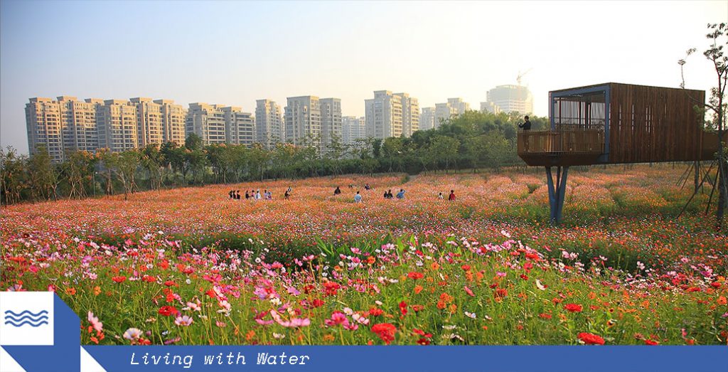 Quzhou Luming Park by Turenscape.