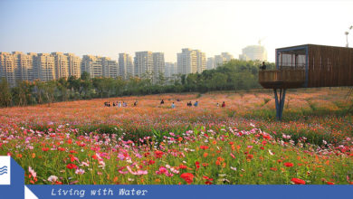 Quzhou Luming Park by Turenscape.