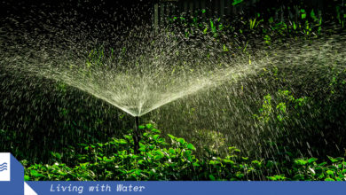 Perth's sprinklers continue to drain aquafers at an alarming rate. Image: Thangaraj Kumaravel