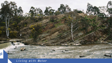 A dam or a shackle? Dights Falls on the Yarra River, Melbourne.