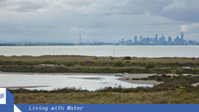 Looking over Port Phillip Bay from Cheetham Wetlands, Point Cook, Melbourne.