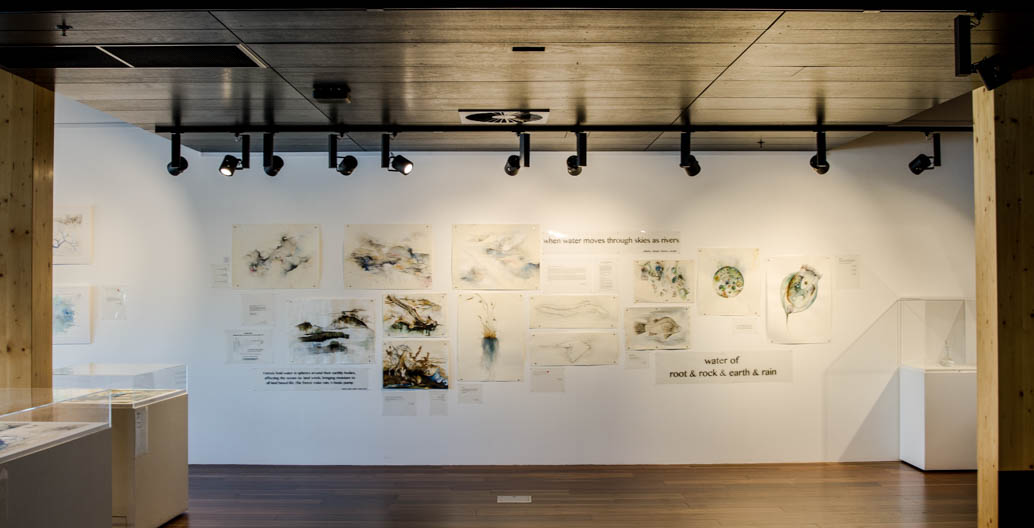 Watercolour portraits articulate the relationship between Victoria's forests and Melbourne's rainfall.