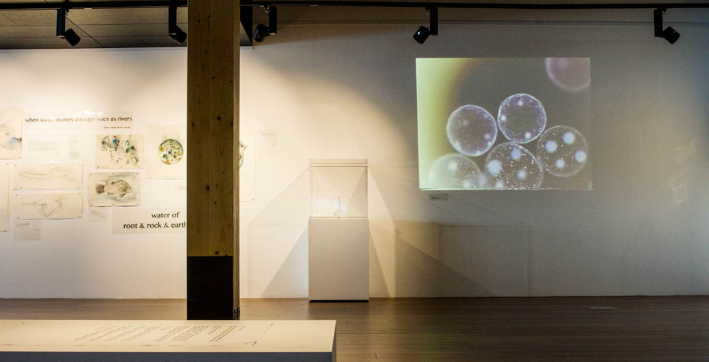 Part of the exhibition presents the microscopic life within drops of water.