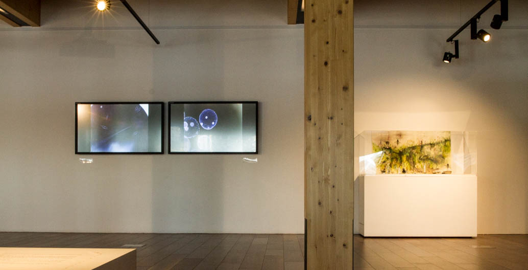 The exhibition draws together experts in ecology, mapping the microscopic life of our world.