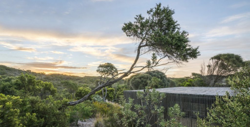 A coastal garden by Sam Cox surrounds a Sean Godsell building tucked into the dunes in Sorrento, Victoria.