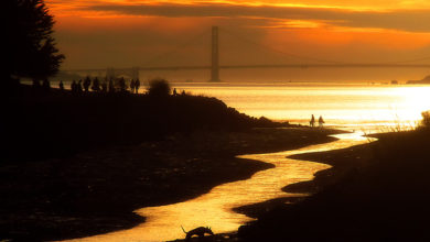 Estuarine communities in San Francisco's Bay Area are set for a complete change in the way they live by the water's edge. Image: TJ Gehling.