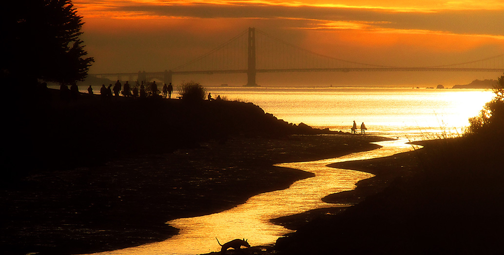 Estuarine communities in San Francisco's Bay Area are set for a complete change in the way they live by the water's edge. Image: TJ Gehling.