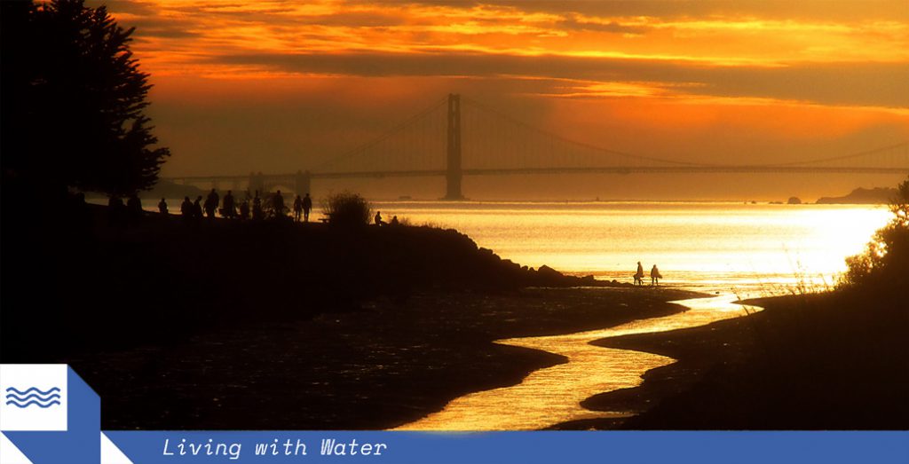 Estuarine communities in San Francisco's Bay Area are set for a complete change in the way they live by the water's edge. Image: TJ Gehling.