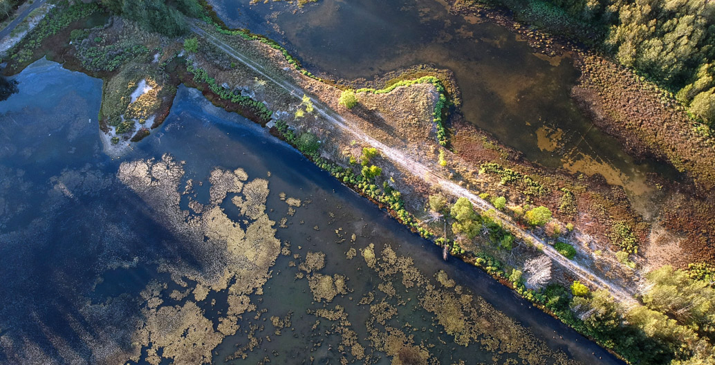 Sydney Olympic Park's mangrove forests and wetlands are home to an abundance of biodiversity. Around it lies Sydney's encroaching urban development. Image: John Turnbull.
