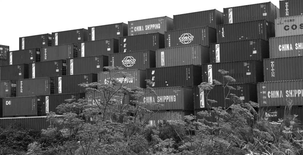Shipping containers in the landscape