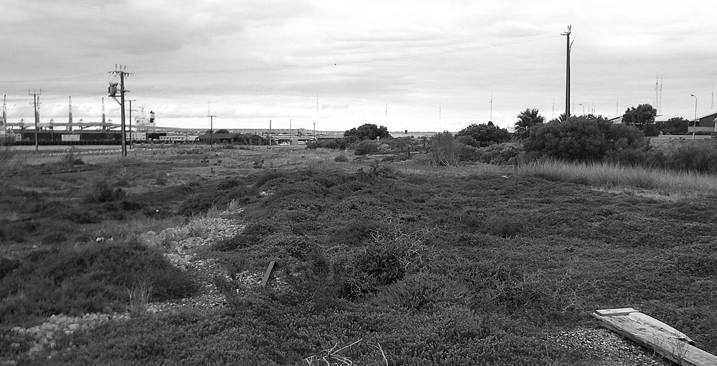 Overgrown underused public land