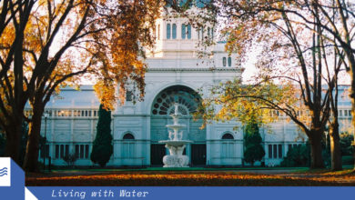 The City of Melbourne's famed heritage gardens aren't just “pretty”, they're one small part of a city-wide strategy to deliver critical green infrastructure. Image: Toby Ord.