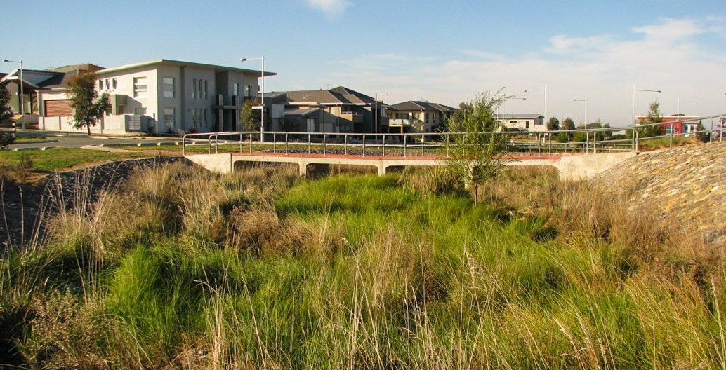 As people move to the urban fringe, they need to learn to live with wildlife and insects, too. Image: Cameron Webb.