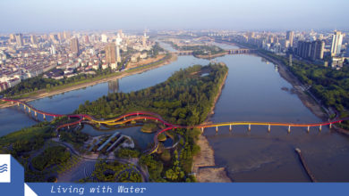 WAF’s 2015 Landscape of the Year Yanweizhou Park has given Jinua City a new cultural and community identity. The “sparrow tail” wetlands, circular bioswales, ‘cut and fill’ terraced riverbank and entirely permeable surrounds “make friends” with flooding. Image: Turenscape.