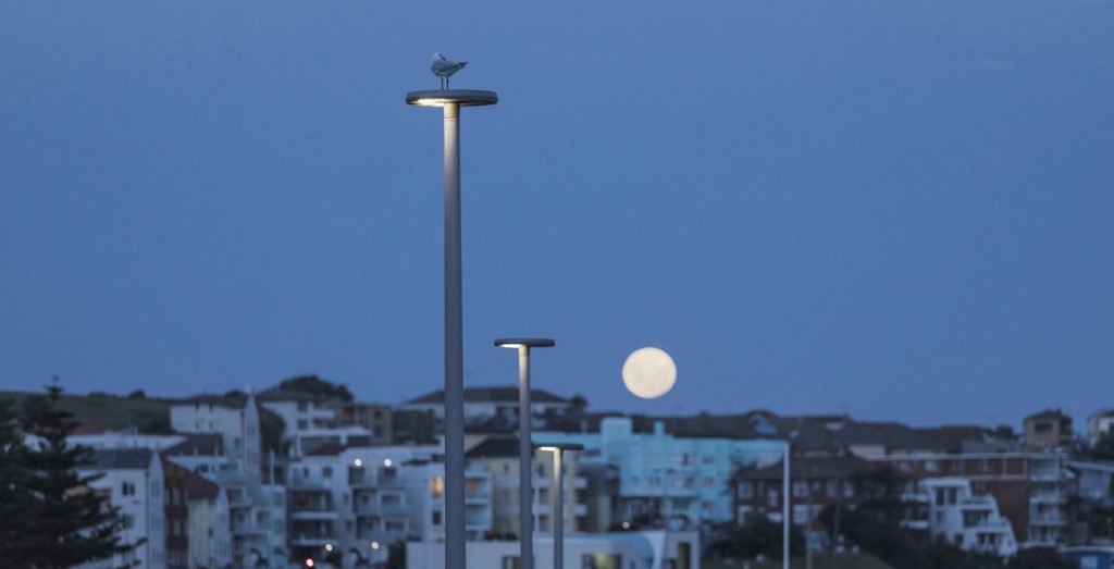 New lighting scheme aids nighttime journeys through Bondi Park.