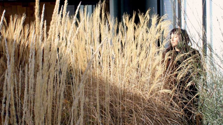 Bush Projects combines art and landscape to enhance how people experience, occupy and interact with landscape.