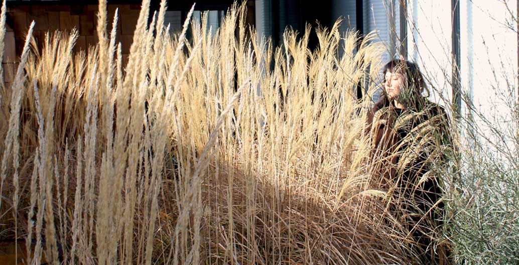Bush Projects combines art and landscape to enhance how people experience, occupy and interact with landscape.