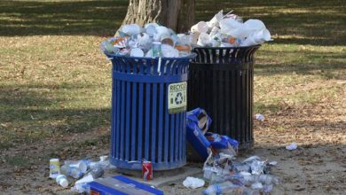 Overflowing bins are one way to spoil the amenity of public space, but sensors can now alert councils when bins need emptying.
