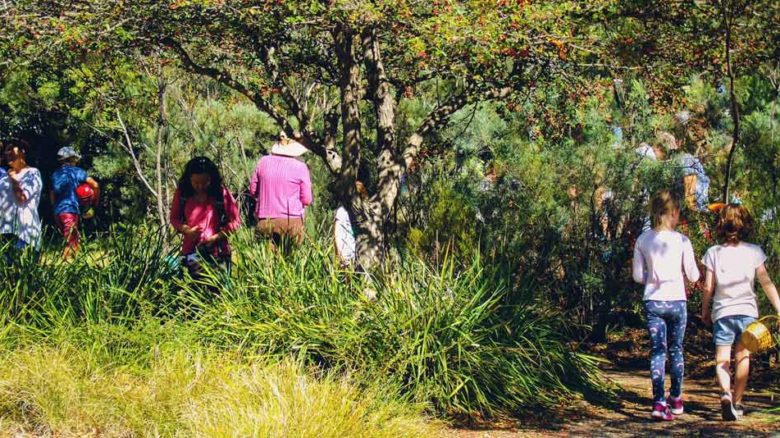 Craft Your Park by Spacelab Studio. 2018 AILA ACT Excellence Award for Community Contribution.