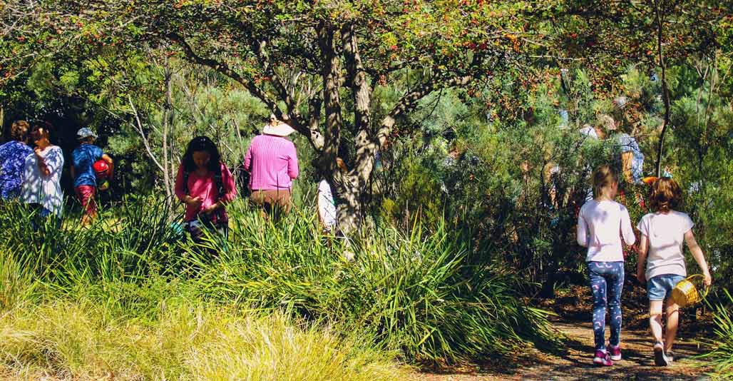 Craft Your Park by Spacelab Studio. 2018 AILA ACT Excellence Award for Community Contribution.