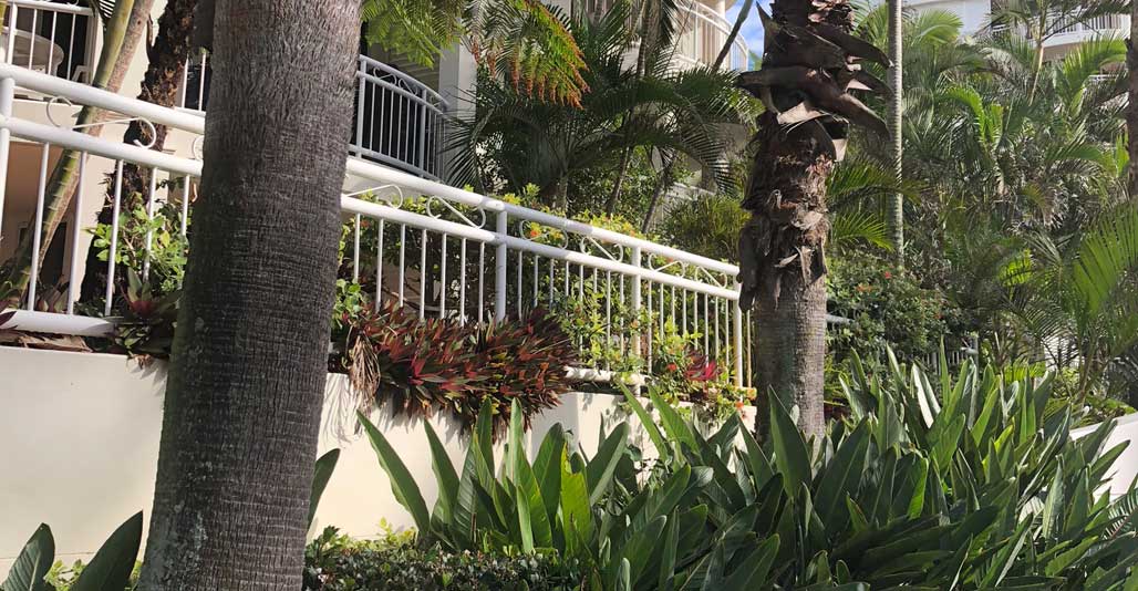 Balconies and lush plantings emerged organically to create a distinctive Gold Coast aesthetic.