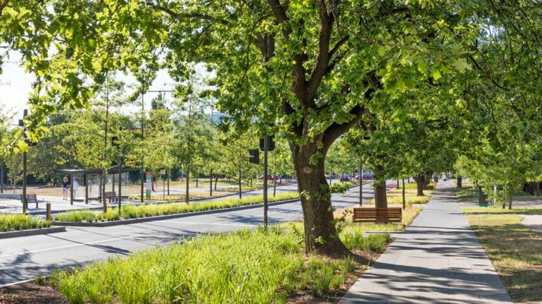 New plantings emphasis a sense of transition, and work with the existing street tree network. Image: John GollingsNew plantings emphasis a sense of transition, and work with the existing street tree network. Image: John Gollings