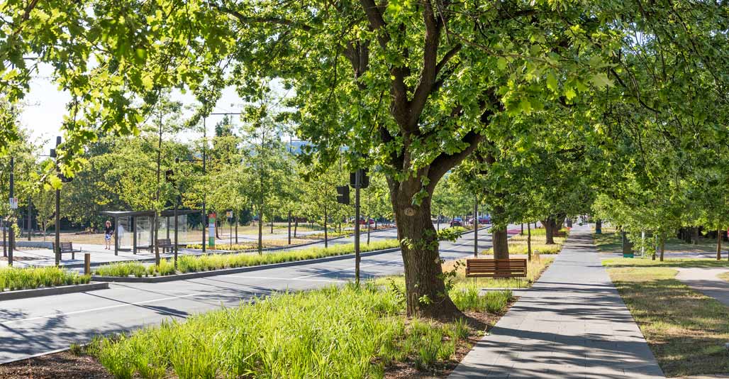 New plantings emphasis a sense of transition, and work with the existing street tree network. Image: John GollingsNew plantings emphasis a sense of transition, and work with the existing street tree network. Image: John Gollings