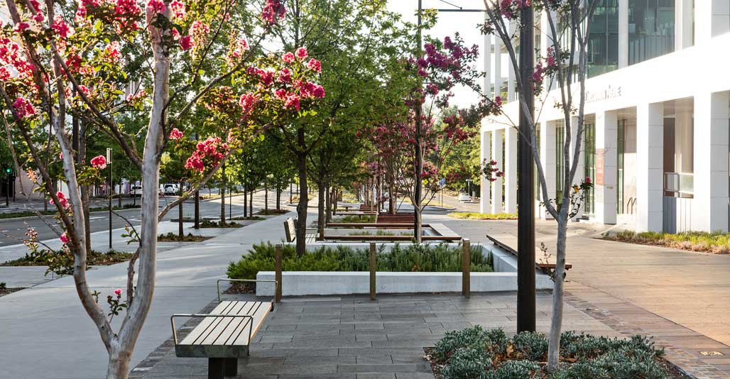 Constitution Avenue by Jane Irwin Landscape Architecture. 2018 AILA Act Excellence Award for Civic.