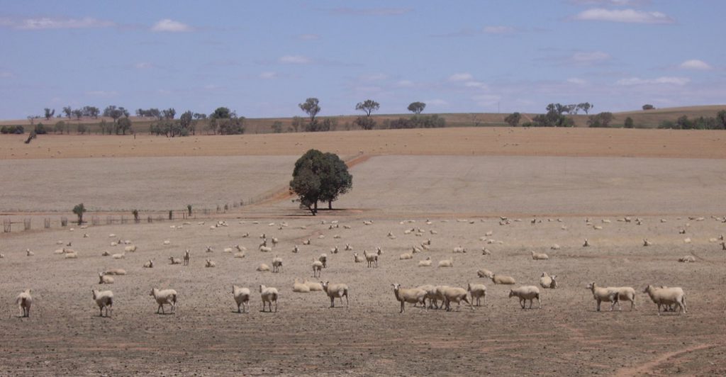 Australia's relationship to agriculture is under scrutiny.