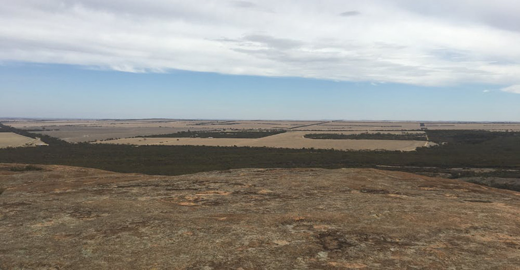 View from Wave Rock.