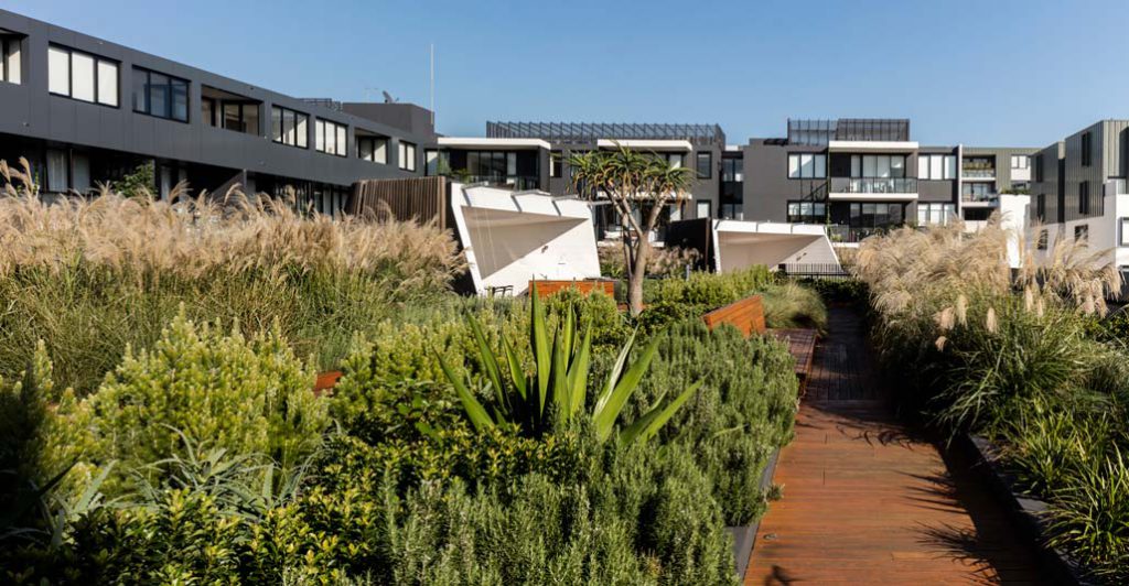 Rooftop gardens take green infrastructure to new heights. Image: Brett Boardman